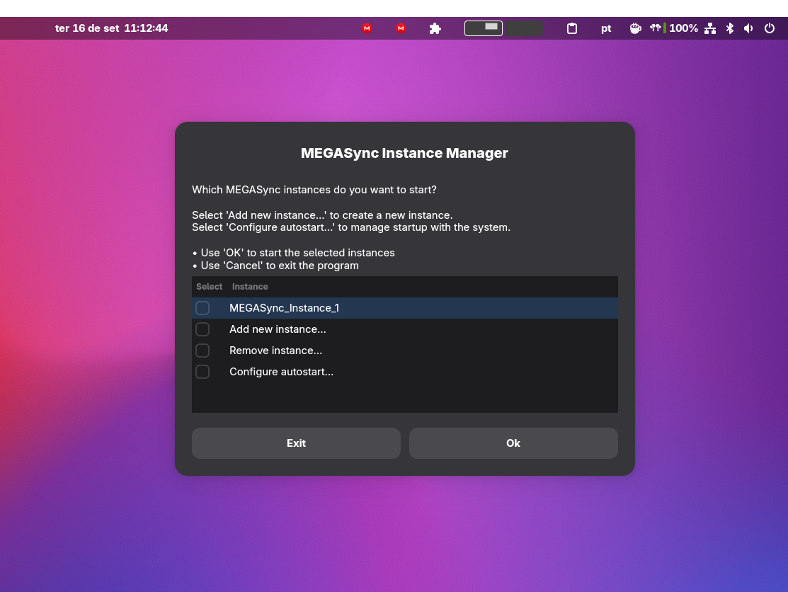 Megasync_Manager