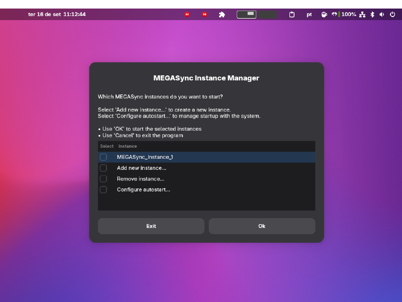 Megasync_Manager