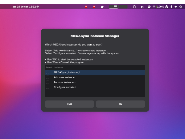 MEGASync 多实例管理器